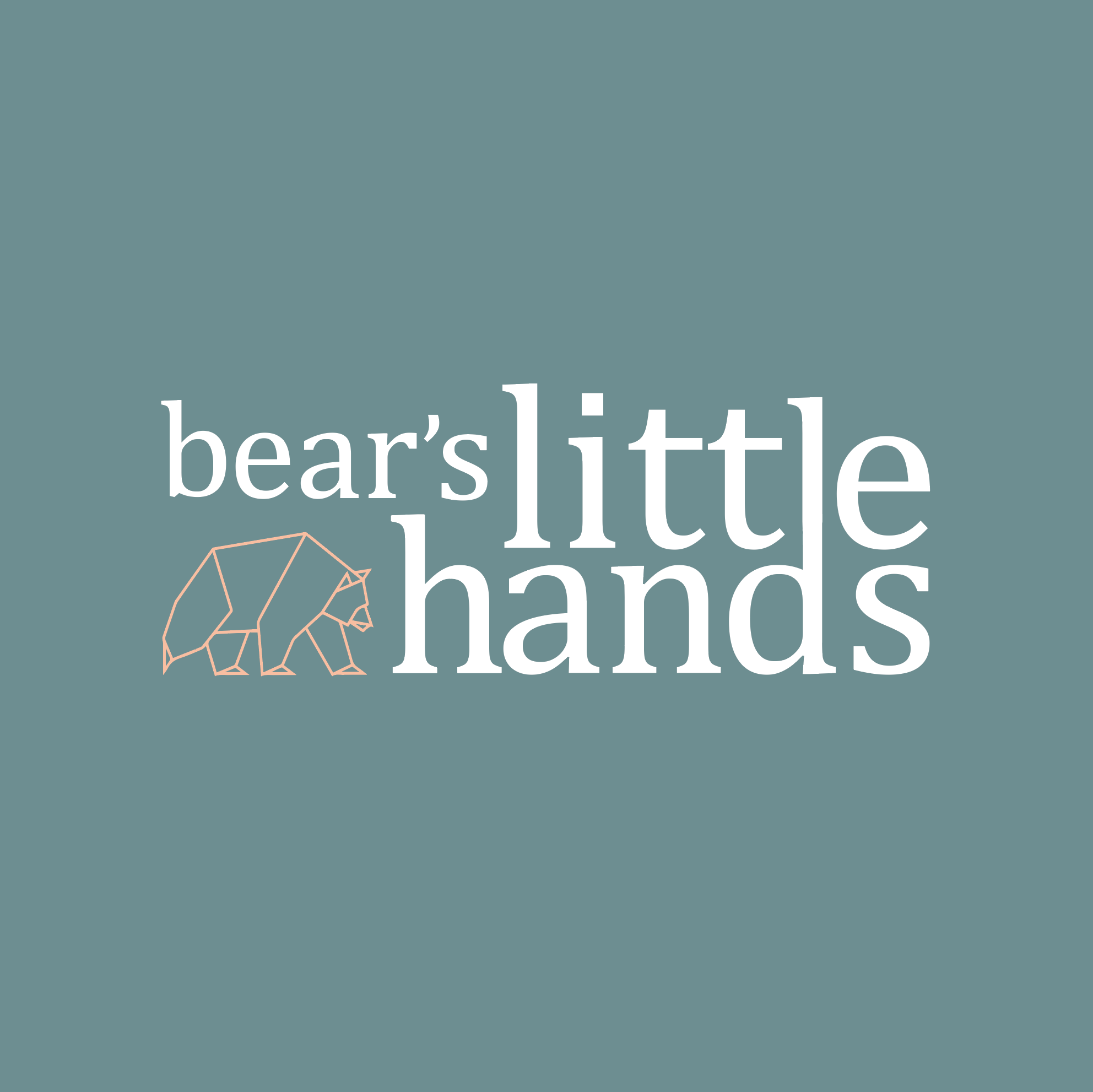 Playgroups – Bear's Little Hands